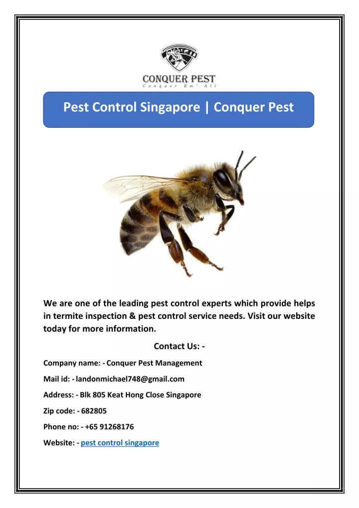 pest control singapore conquer pest