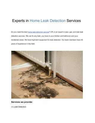 experts in home leak detection services