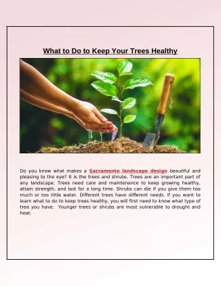 what to do to keep your trees healthy