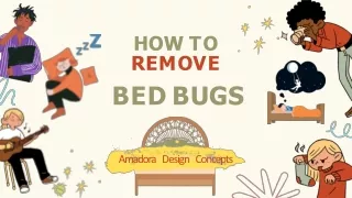 How to Remove Bed Bugs from bedsheets