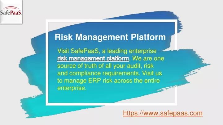 risk management platform