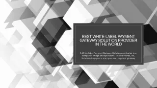 Best White-Label Payment Gateway Solution Provider in The World