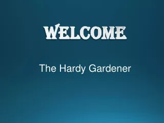 welcome