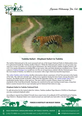 Tadoba Safari - Elephant Safari in Tadoba
