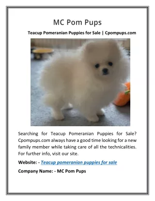 Teacup Pomeranian Puppies for Sale | Cpompups.com