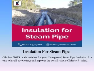 Insulation For Steam Pipe
