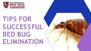 Tips For Successful Bed Bug Elimination