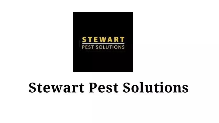 stewart pest solutions