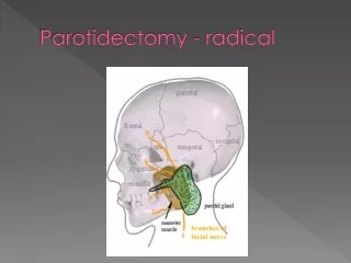 Parotidectomy  radical - Meddco