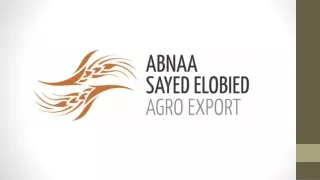 Arabic Gum | Gum Arabic Sudan