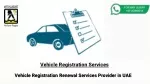 Vehicle Registration Renewal Services Provider in UAE - slide 1