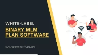 Best White Label Binary MLM Plan Software |  Rocket MLM Software