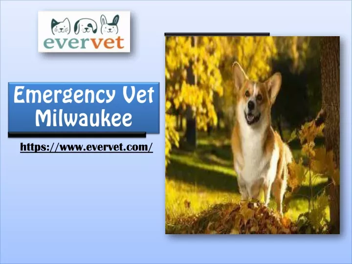 emergency vet milwaukee