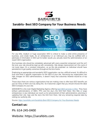 Sarabits- Best SEO Company for Your Business Needs