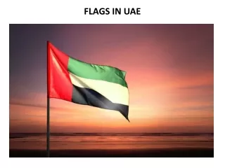 flags in uae