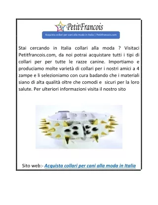 Acquista collari per cani alla moda in Italia  Petitfrancois.com