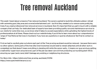 Tree removal Auckland