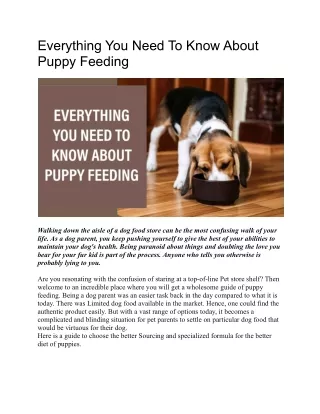 Everything You Need To Know About Puppy Feeding