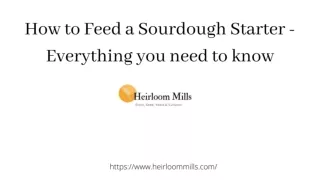 How to Feed a Sourdough Starter - Everything you need to know
