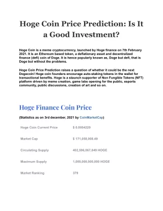 hoge coin price prediction is it a good investment