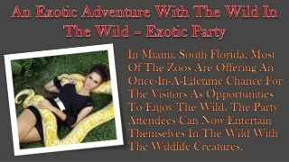 An Exotic Adventure With The Wild In The Wild – Exotic Party