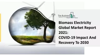 Global Biomass Electricity Market Highlights and Forecasts to 2030