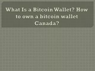 what is a bitcoin wallet how to own a bitcoin wallet canada
