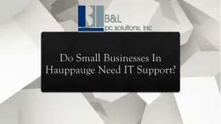 do small businesses in hauppauge need it support