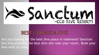 Best Indonesia dive