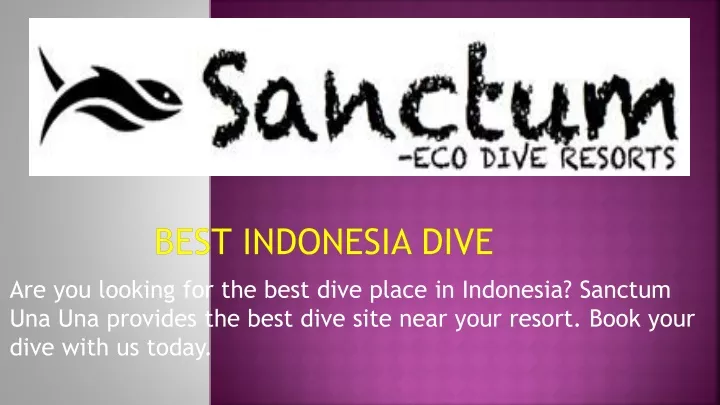 best indonesia dive