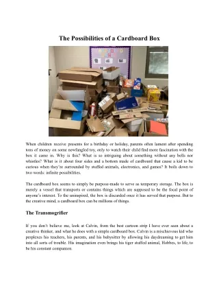 The Possibilities of a Cardboard Box