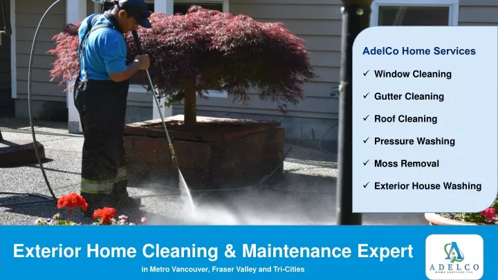 exterior home cleaning maintenance expert