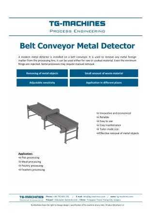 Belt Conveyor Metal Detector