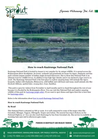 How to reach Kaziranga National Park - Nature's Sprout