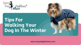 tips for walking your dog in the winter