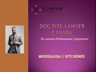 Dog Bite Lawyer Canada