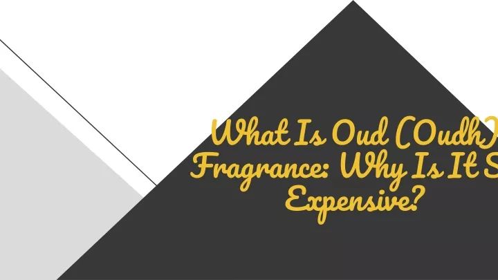 what is oud oudh fragrance why is it so expensive