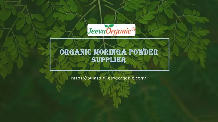 organic moringa powder organic moringa powder
