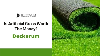 Is Artificial Grass Worth The Money?