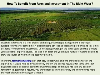 How To Benefit From Farmland Investment In The Right Ways?