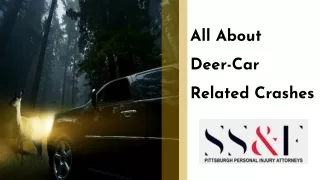 All About Deer-Car Related Crashes