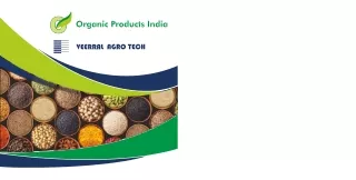 Viral Spices Company Catalogue
