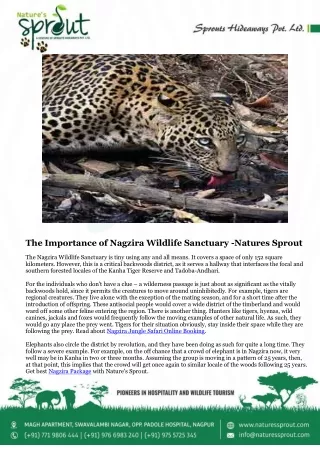 The Importance of Nagzira Wildlife Sanctuary - Nature's Sprout