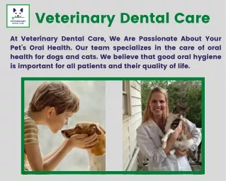 Treatment of Feline Tooth Resorption | Veterinary Dental Care