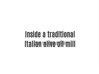Inside a traditional Italian olive oil mill