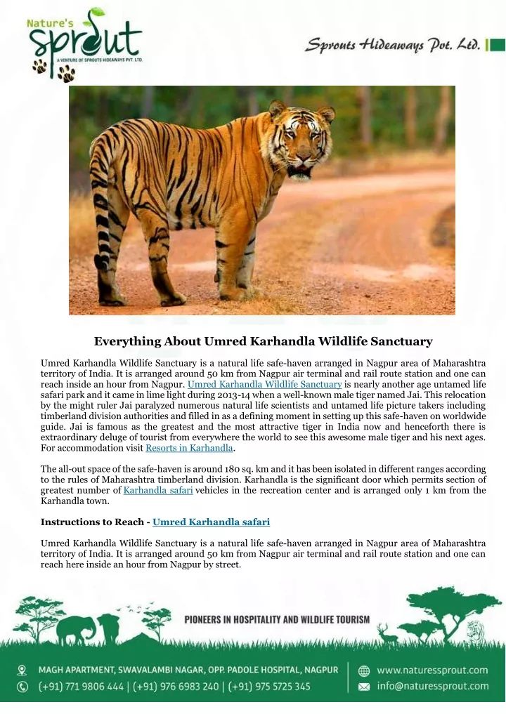 everything about umred karhandla wildlife