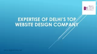expertise of delhi s top website design company