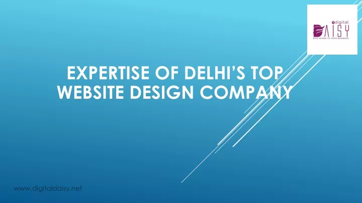 expertise of delhi s top website design company
