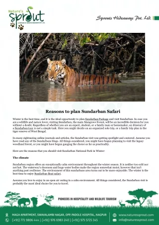 Reasons to plan Sundarban Safari - Nature's Sprout