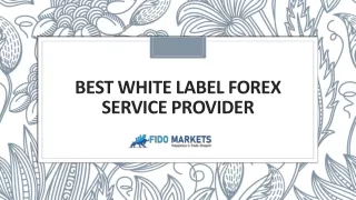 Best White Label Forex Service Provider